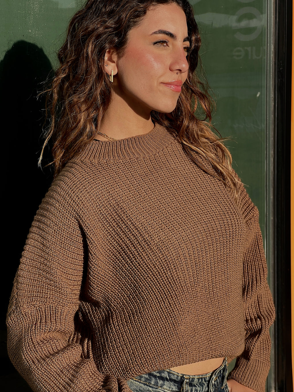 Light Brown Sweater